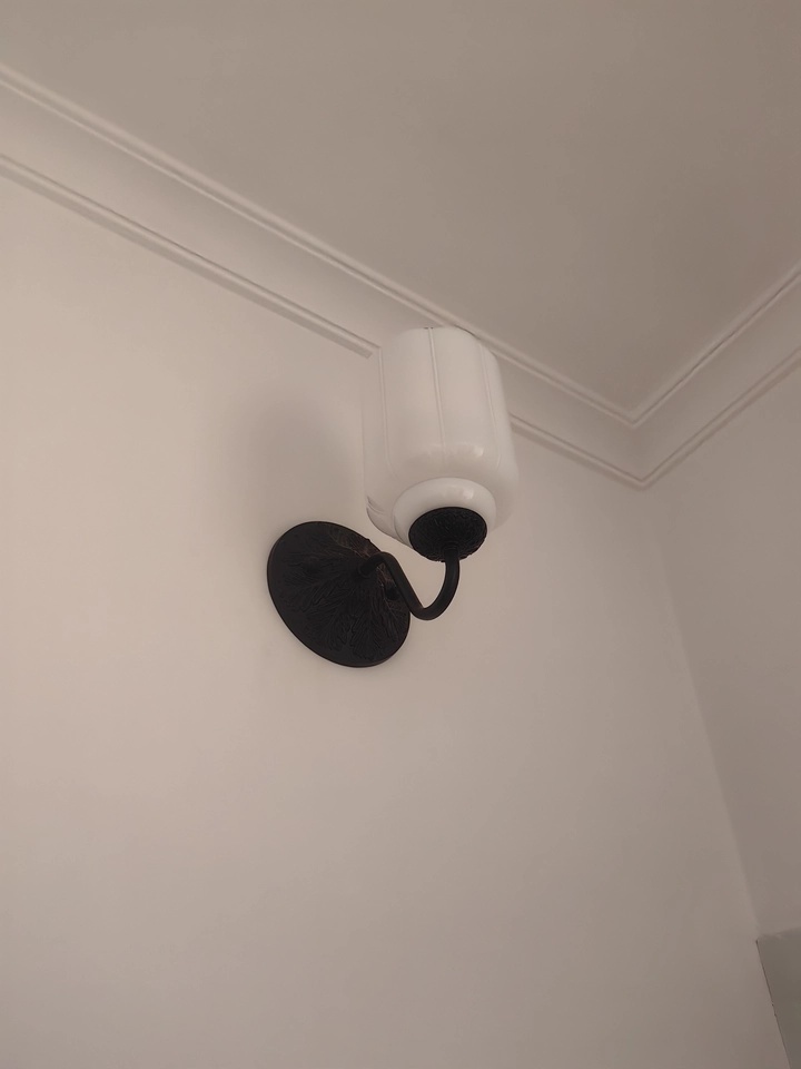 Review Image 2